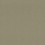 ap-107