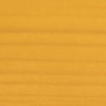 Stone Pine (pine)